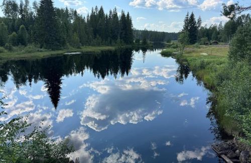 Filipstad Municipality House | House near forest and water