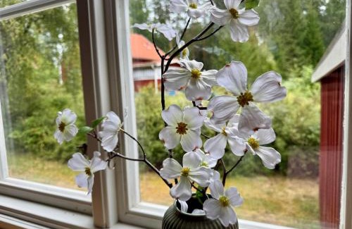 Filipstad Municipality House | House near forest and water