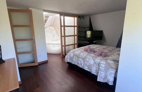 Aulnay-sous-Bois Villa | House,Parc expo villepinte,CDG,Disney