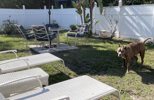 South Sarasota House | House