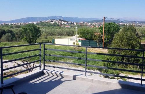 Pangaio House | House Viki