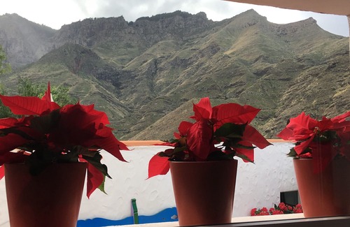 Agaete House | House with heated pool and jacuzzi, groups, families with pets and views.