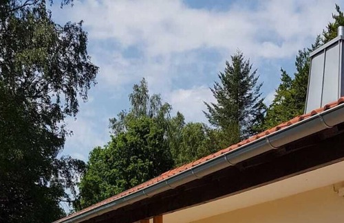 Trippstadt House | House wildcat for nature lovers