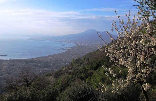 Piazza-Tralia-Pendolo House | House with a beautiful panoramic view of the Gulf of Naples