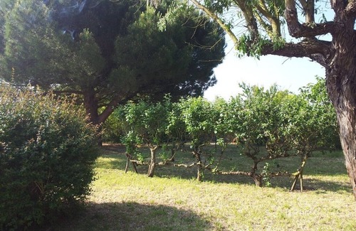 La Bree-les-Bains House | House with large garden close to shops and beach