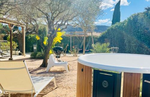 Vaison-la-Romaine Apartment | House with nice garden, downtown by walk