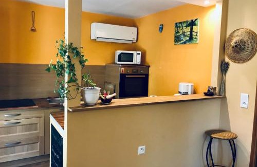 Vaison-la-Romaine Apartment | House with nice garden, downtown by walk