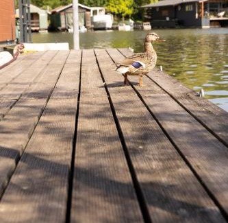 Smichov Boat Rental | Houseboat Daisy