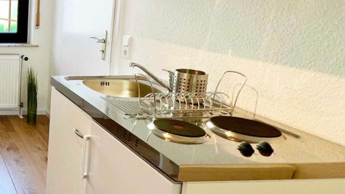 Mainz-Bingen Apartment | Houses in Gau-Bischofsheim
