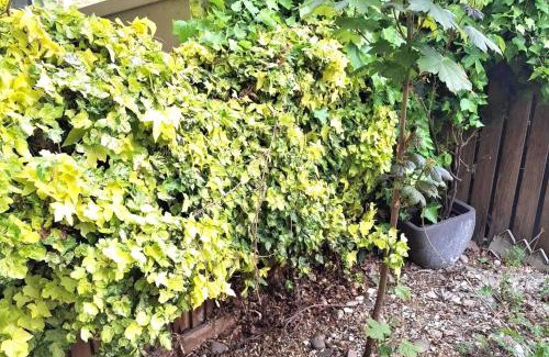 Brockley House | HouseSleeps7-Parking-Garden-CityBreak-Peckham Arts