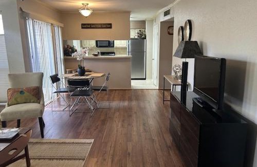 Braeswood Place Apartment | Houston TX Med Center NRG 2B-2B ALL inclusive WD WF