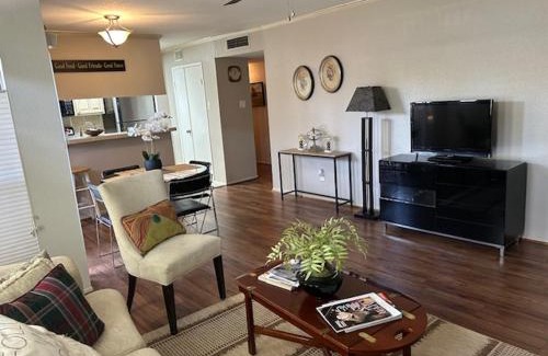 Braeswood Place Apartment | Houston TX Med Center NRG 2B-2B ALL inclusive WD WF