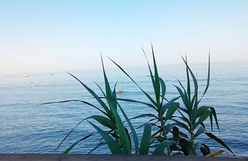 La Gaspara Apartment | https:/www.airbnb.es/rooms/1206277745776257388?viralityEntryPoint=1&s=76