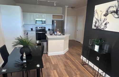 Houston Apartment | HTX Luxury Downtown Apartments 10 mins away from galleria mall private parking