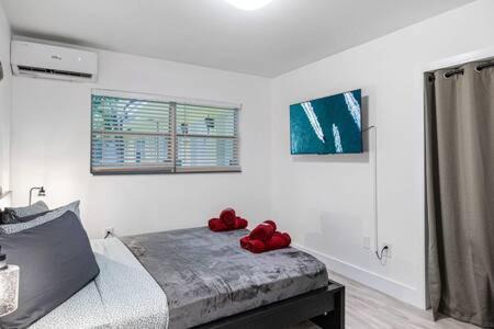 Northeast Miami Apartment | Huge 1 bed newly renovated free parking