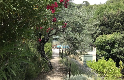 Callas House | Huge 12x5m saltpool. Unique 8000m2 naturist property, 5min to Callas square .