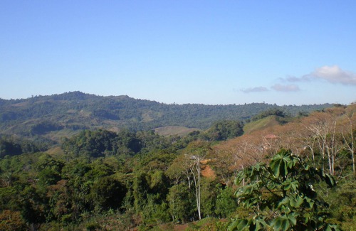 San Isidro de El General House | Huge One Bedroom House with Stunning Views, Cool Breezes 1/2 hr to Dominical