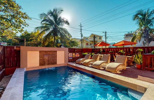 San Pedro Apartment | Hummingbird Home Suites