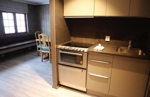 Faberg Apartment | Hunderfossen Apartments