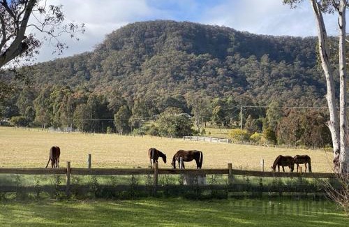 Quorrobolong House | Hunter Valley Luxury Farm Stay with Stunning Mountain Vistas