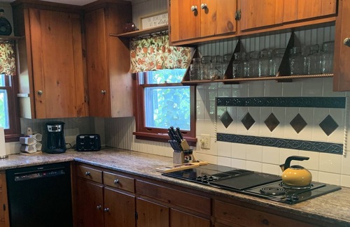 Bristol Hills House | Hunters Hill Retreat! 5 Bedrooms, 2 baths, 4 minutes to Bristol Mountain!