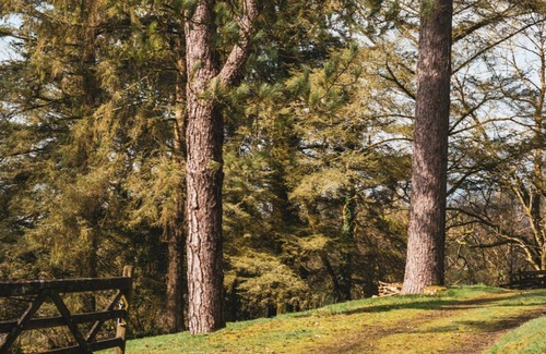 Christchurch Apartment | Hunters - Luxury Cottages