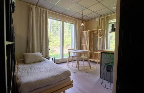 Lahti Apartment | Huoneisto elokuvateatterilla Studio apartment with the movie theater