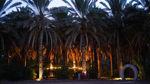 Western Province Other | Husaak AlUla Adventure Camp