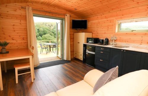 Llandrindod Wells House | Hwyl