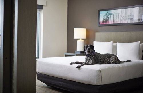 Downtown Denver Hotel | Hyatt House Denver Downtown