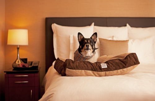 Buckhead Hotel | Hyatt Place Atlanta/Buckhead