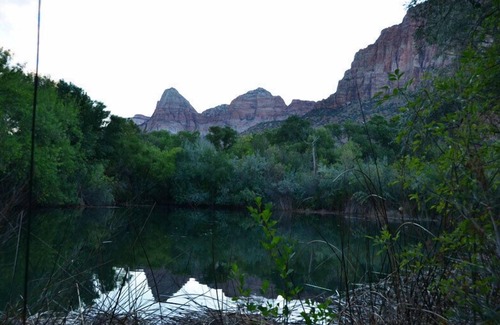 Zion National Park South Entrance Hotel | Hyatt Place Springdale/Zion National Park