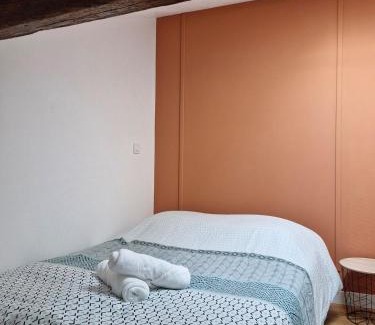 Montauban Apartment | Hyper center apartment