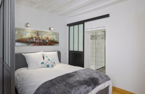 Downtown Angers Apartment | Hyper Centre Place Imbach