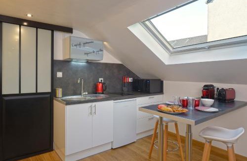 Downtown Angers Apartment | Hyper Centre Place Imbach