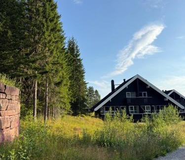 Trysil House | Hytte med sentral beliggenhet
