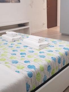 Forlanini Apartment | I Host apartment - Cossa 19