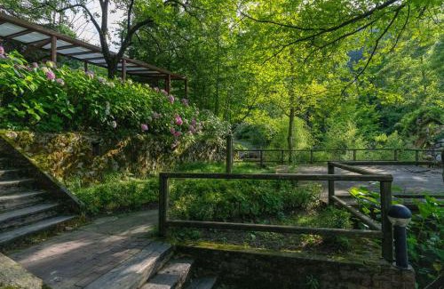 Sapanca Bed & Breakfast | İstanbuldere Alabalıkevi
