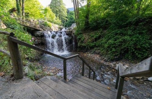 Sapanca Bed & Breakfast | İstanbuldere Alabalıkevi
