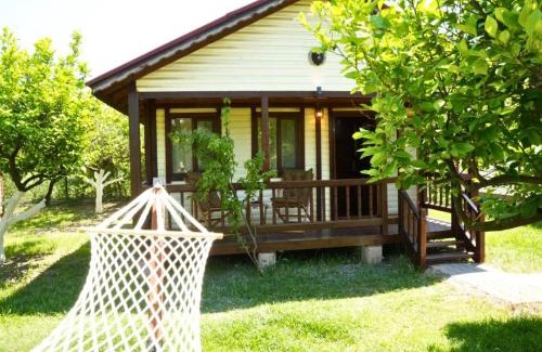 Dalyan Hotel | İztuzu Bungalow & Camping