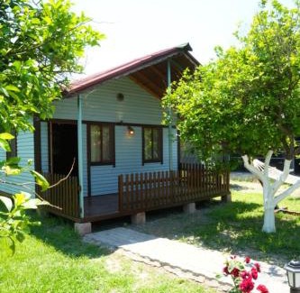 Dalyan Hotel | İztuzu Bungalow & Camping