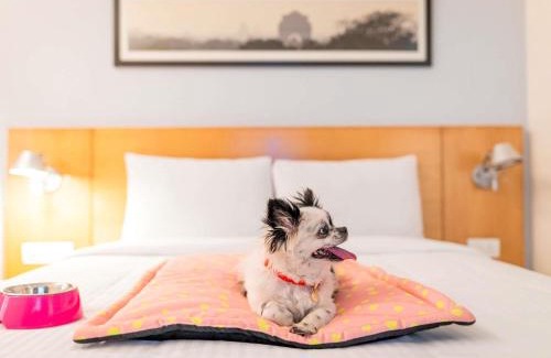 Bangalore City Center Hotel | ibis Bengaluru City Centre - An Accor Brand