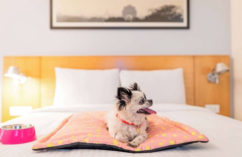 Mitte Hotel | ibis Nürnberg Hauptbahnhof