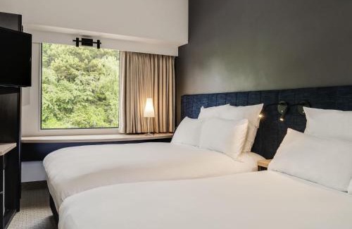 Rotorua Hotel | ibis Rotorua