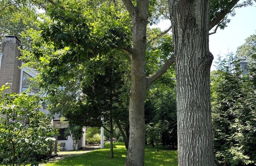 Springs Villa | Iconic Charles Moore Springs home with dock and our home is pet-friendly