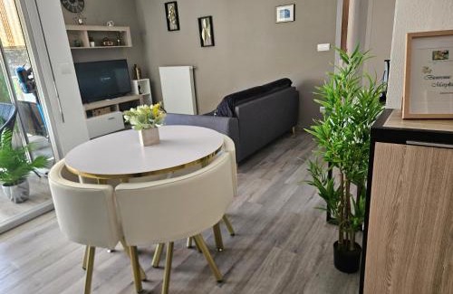 Digne-les-Bains Apartment | Idéal long séjour, Souvenirs de Provence,T2 classé, vue sur les montagnes, toutes commonditées!