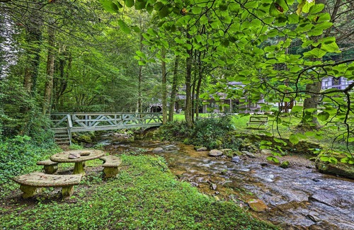 Roan Mountain Cabin | Idyllic Roan Mountain Cabin Across from Creek