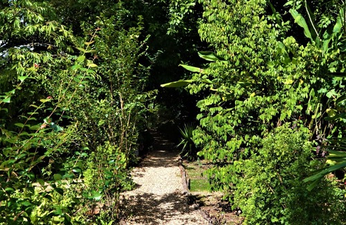 San Ignacio House | Iguana Roost for Explorers, Families or Travelers Welcome to The Tropical Acre