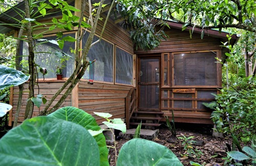 San Ignacio House | Iguana Roost for Explorers, Families or Travelers Welcome to The Tropical Acre