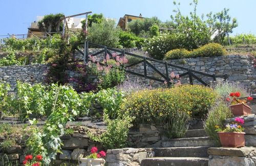 Riomaggiore Apartment | Il Borgo di Campi